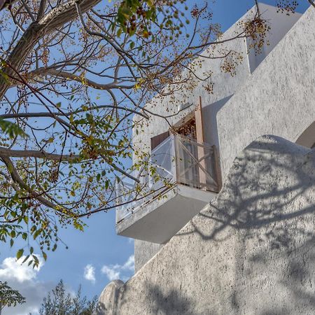Edem Garden Residence Platys Gialos  Exterior foto